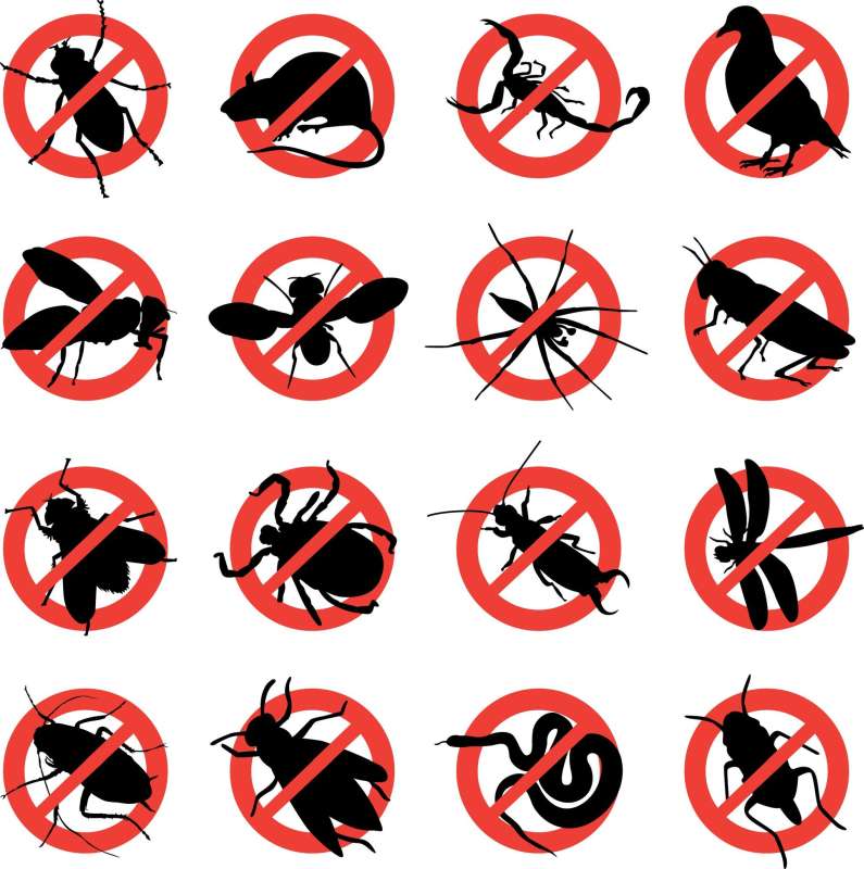 ERAD Pest Control Pest Management Services